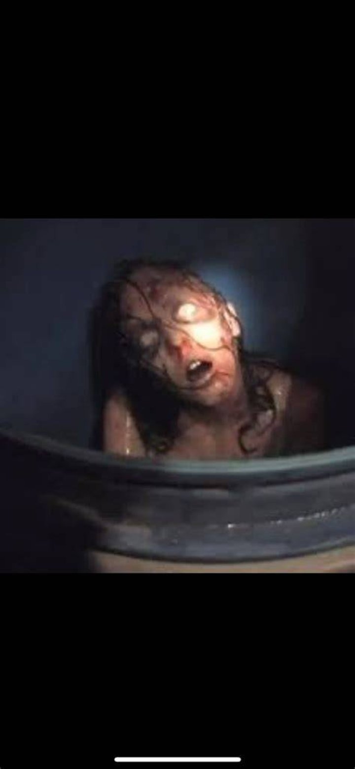 Megan Is Missing: The Chilling Photos Of The Barrel Incident