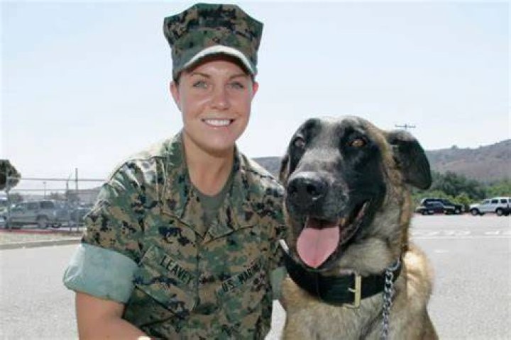 Megan Leavey And Matt Morales: A Hero And His Dog