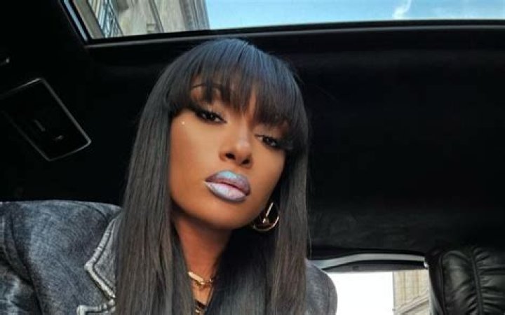 Megan Thee Stallion's Heritage: A Deep Dive Into Her Roots