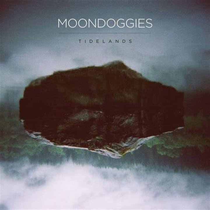 Moondoggies ReRelease Debut Album on Vinyl City Arts Magazine