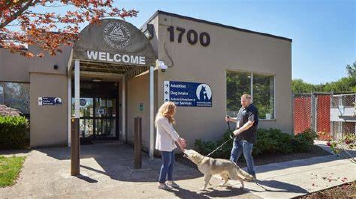 Multnomah County Animal Shelter &mdash; CARLETON HART ARCHITECTURE