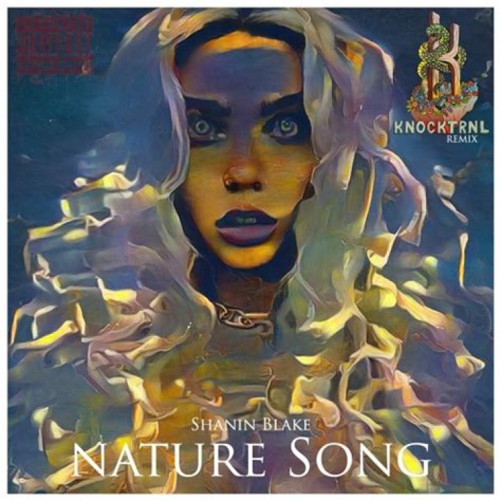 &lrm;Nature Song Single by Shanin Blake on Apple Music