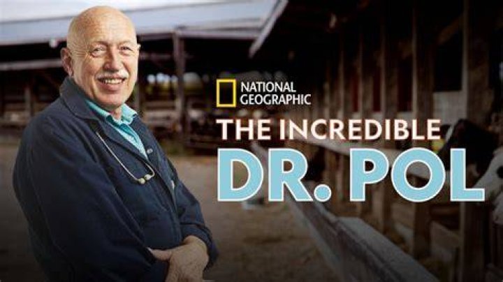 Nederlandse dierenarts Dr. Pol is wereldberoemd ‘Ik kan niet normaal
