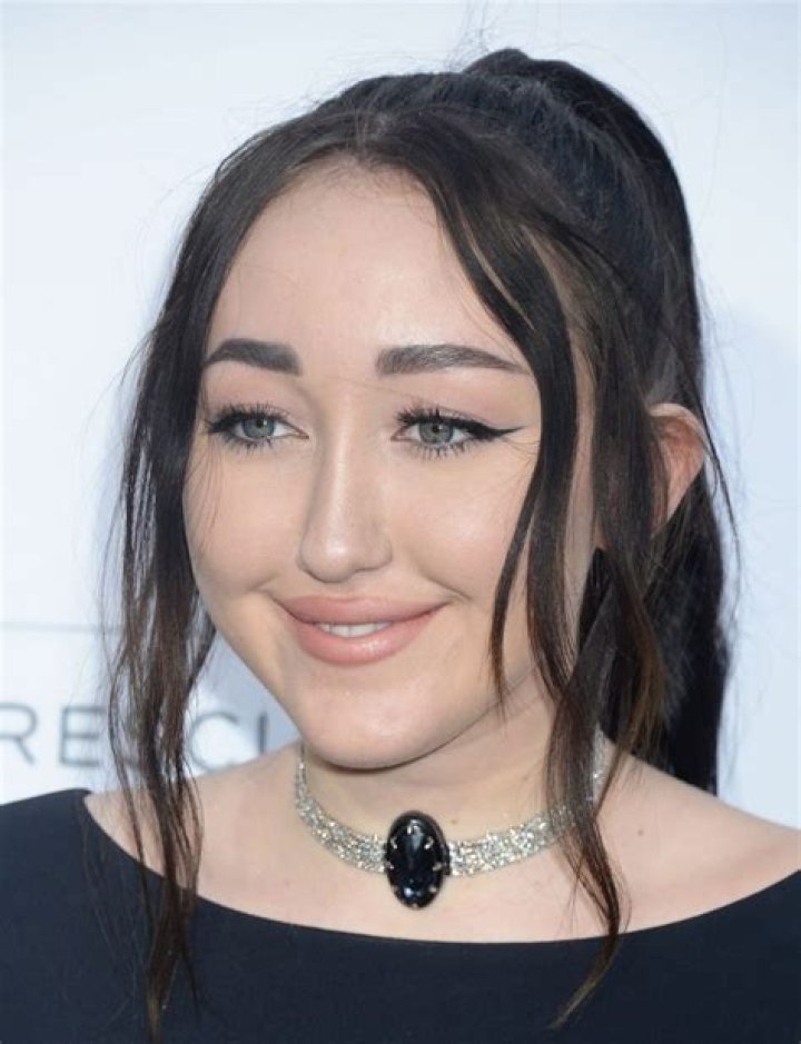 Noah Cyrus Biography, Height & Life Story Super Stars Bio