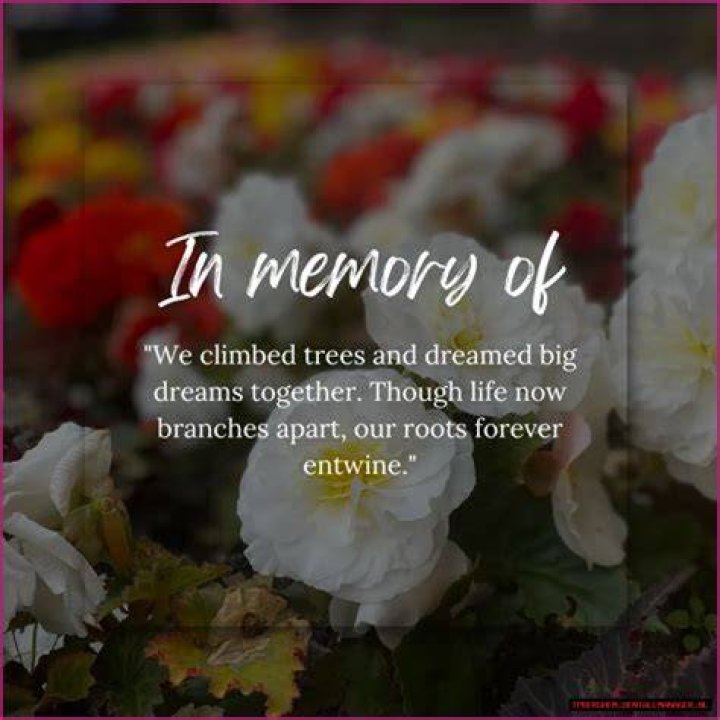Obituary Of Dane Plumley: Remembering A Life Well-Lived
