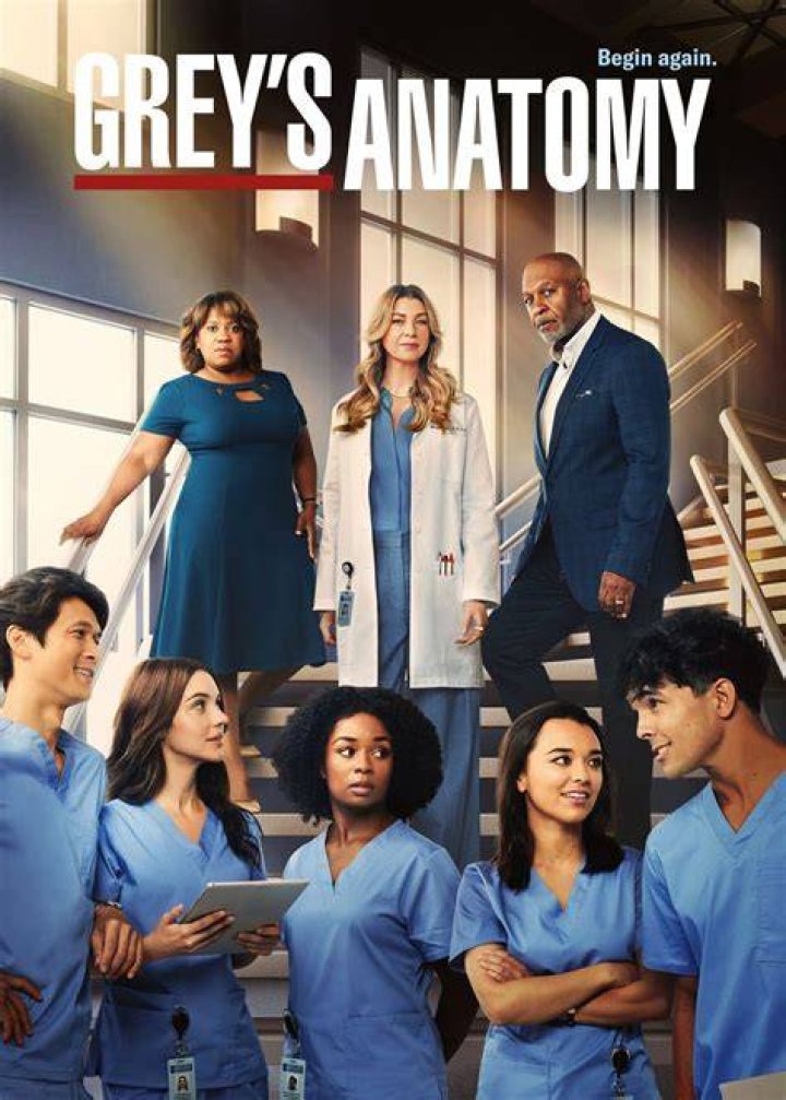 Official Grey's Anatomy Season 19: The Ultimate Guide