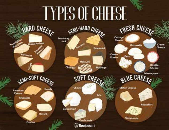 Overview of the Best Cheese Graters