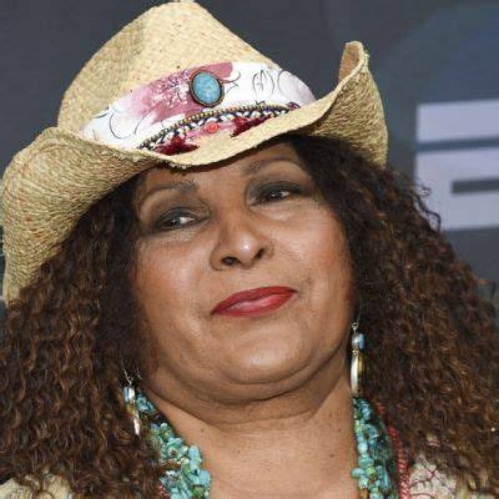 Pam Grier Bio Age Net Worth Relationship Career