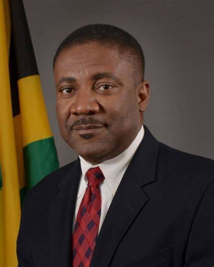 Phillip Paulwell: A Jamaican Political Powerhouse