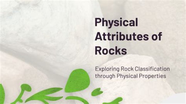 Physical Attributes Of A Rock Legend
