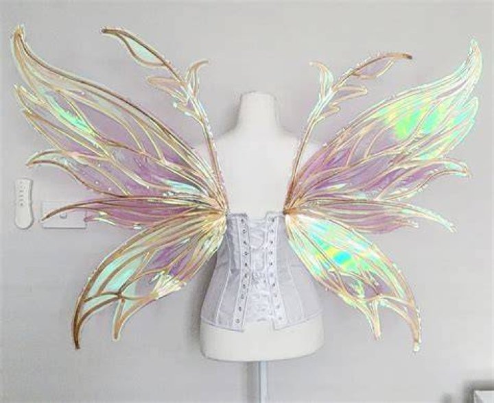 Pin on wings&fairy's