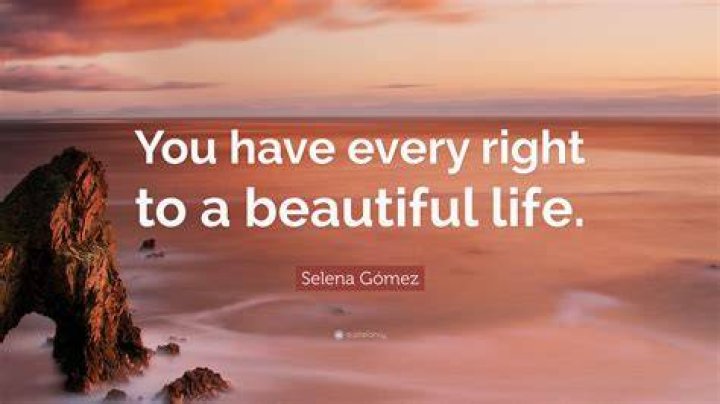 Rediscovering Life's Beauty: A Beautiful Life 2