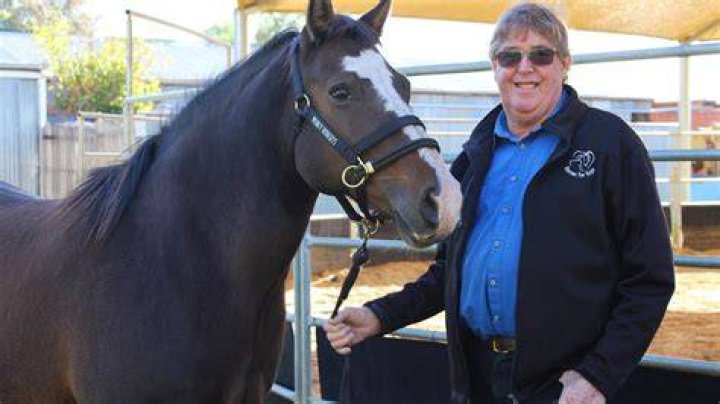 Renowned Australian Horseman: Des Harrington's Legacy