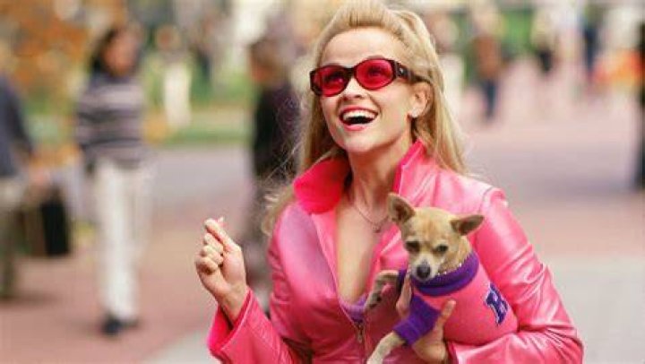 Review &ldquo;Legally Blonde&rdquo; The Viewer's Commentary