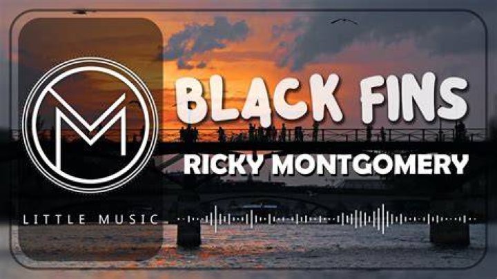 Ricky Montgomery Black Fins Chords Tabs Lyrics