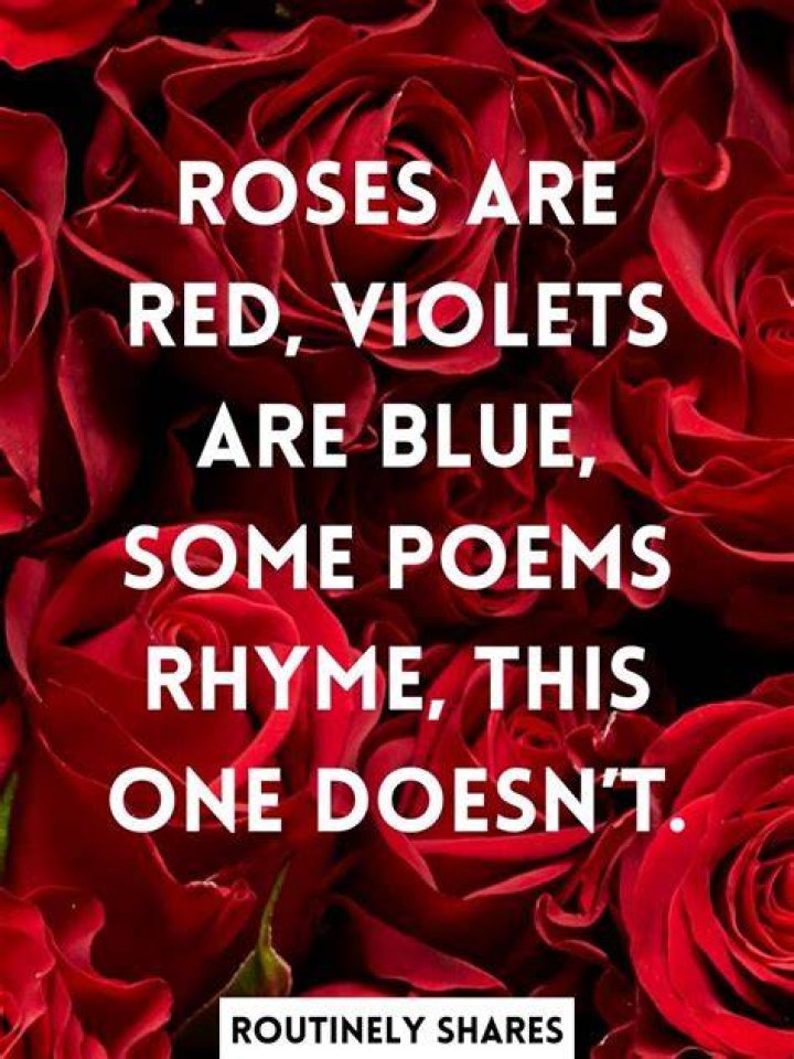 Rose Are Red Violets Are Blue Dirty Jokes discountgirlsbedroomfurniture