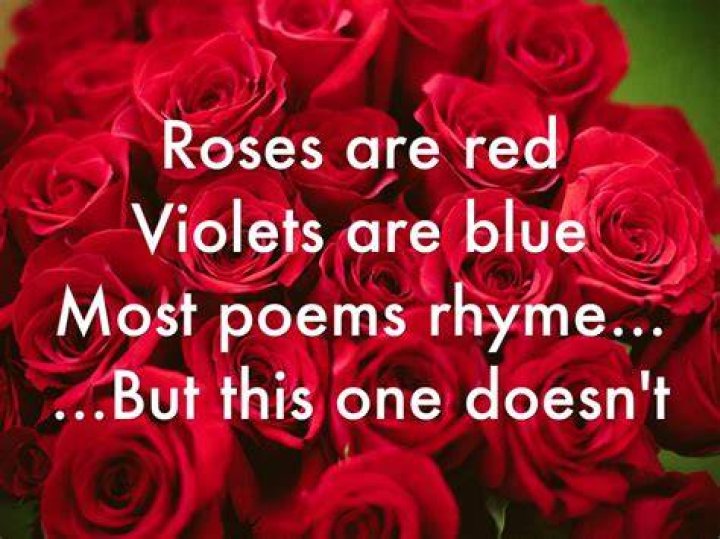Roses Are Red Violets Are Blue Dirty Poem