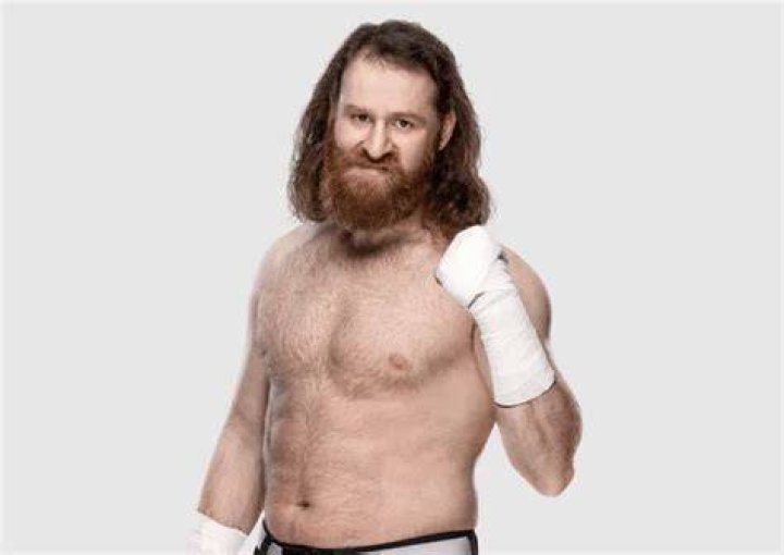 Sami Zayn Biography, Wife, Age, Height and Other Facts