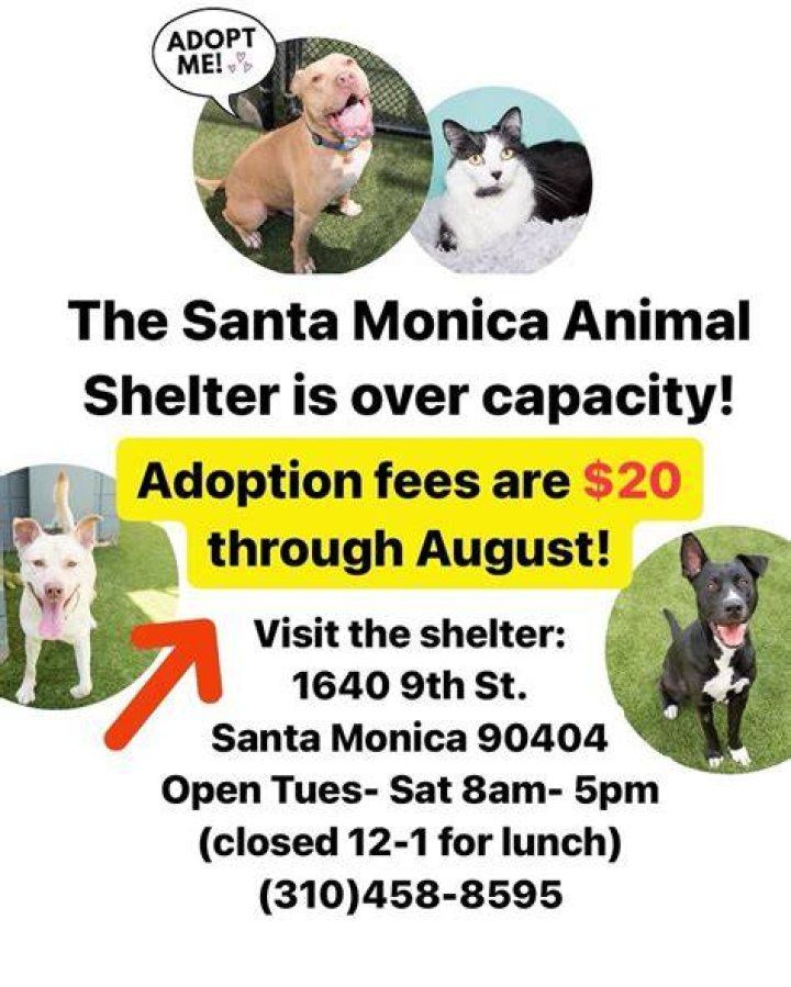 Santa Monica Animal Shelter Foundation