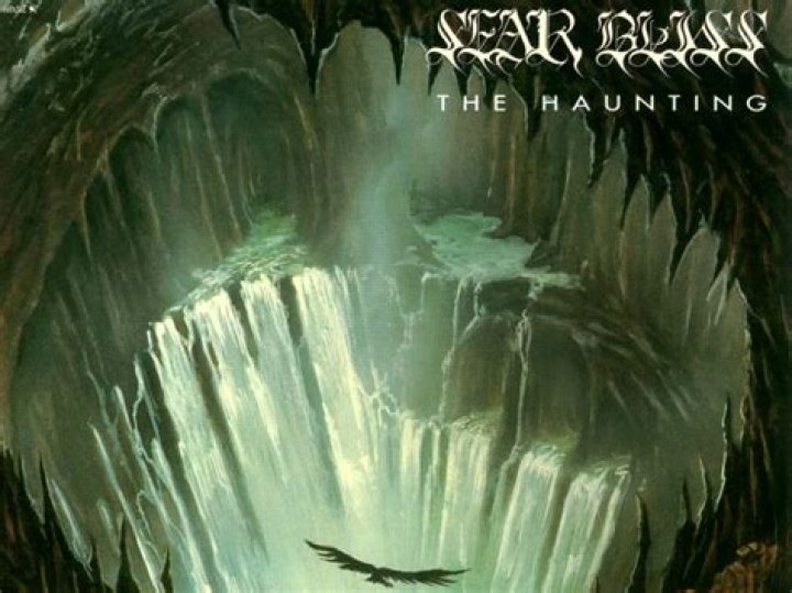 Sear Wallpapers Wallpaper Cave
