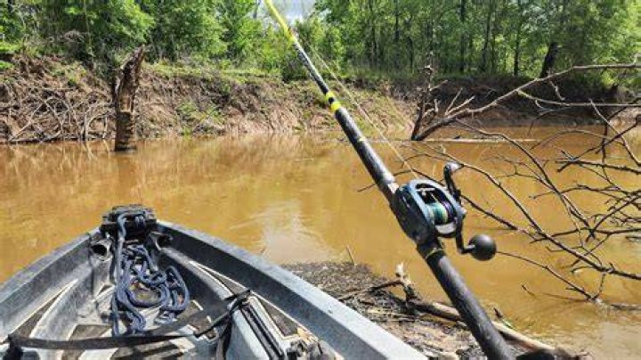 Secrets And Revelations From Catfish