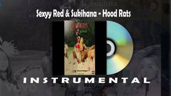 Sexyy Red & Sukihana Wreak Havoc In Raunchy &lsquo;Hood Rats&rsquo; Video Co-Starring Webbie