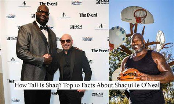 Shaq's Height: Towering Above The Competition