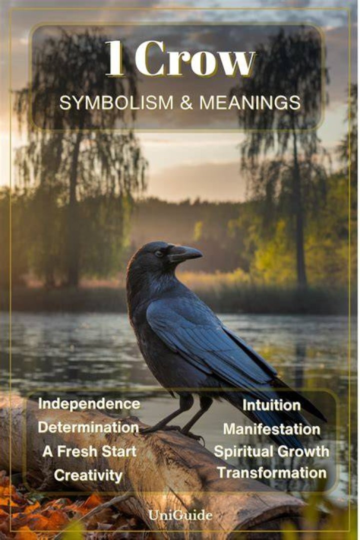 Single Black Crow Meaning