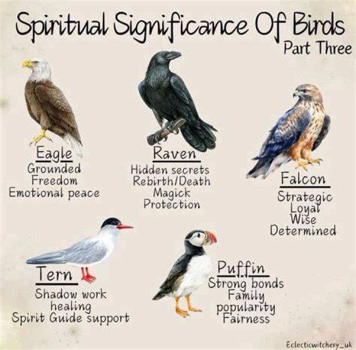 Spiritual Significance Of Birds