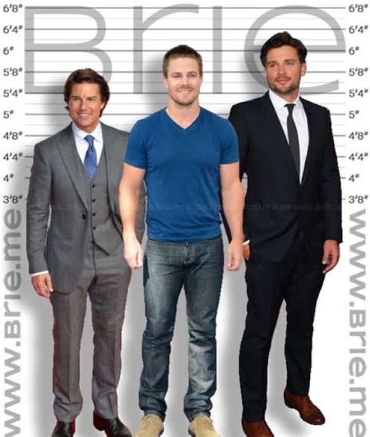 Stephen Amell Height: A Commanding Presence