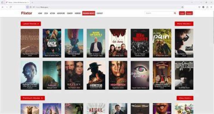 Stream Your Favorite Shows And Movies For Free With Flixtor