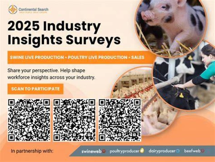 Surprising Discoveries And Industry Insights