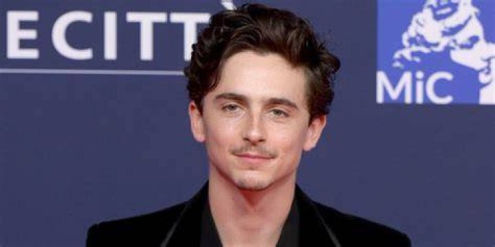 The 12 Best Timoth&eacute;e Chalamet Movies, Ranked