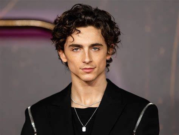 The 12 Best Timothée Chalamet Movies, Ranked