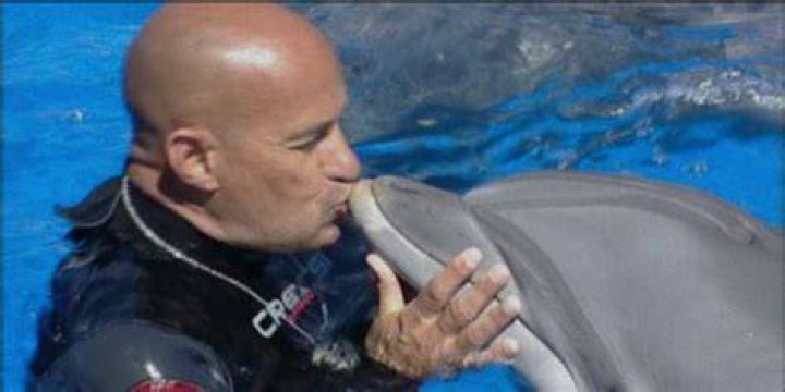 The 2015 Death Of Dolphin Trainer Jose Luis Barbero Explained