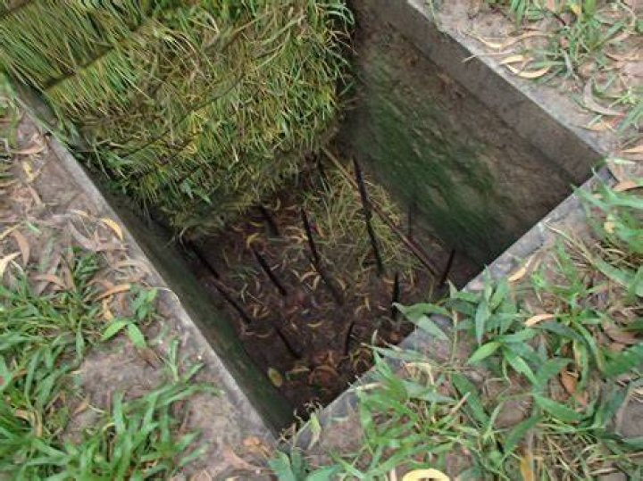 The Burmese Tiger Pit A Unique And Effective Way To Capture Tigers