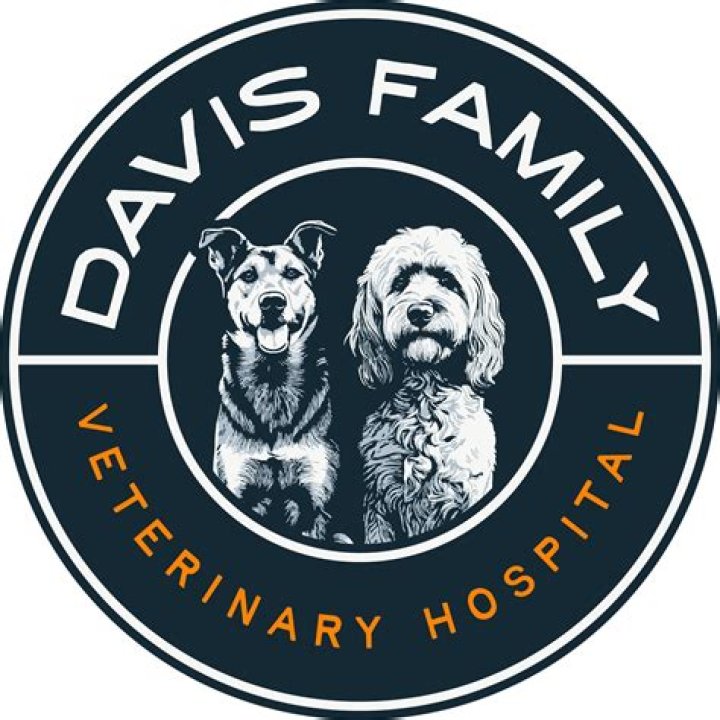The Davis Family: A Musical Legacy Of Grit And Gospel