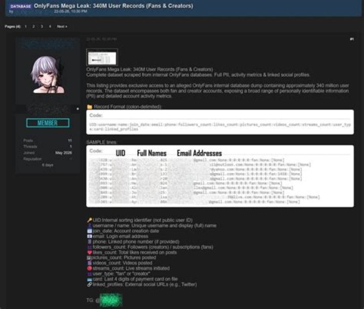 The Eveelaurynn OnlyFans Leak Exposed