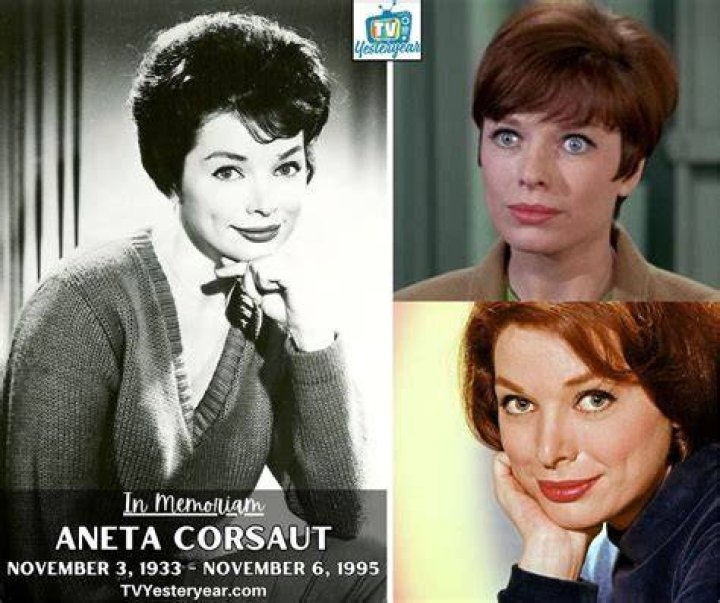 The Extraordinary Legacy Of Aneta Corsaut: A Tribute To A Television Icon