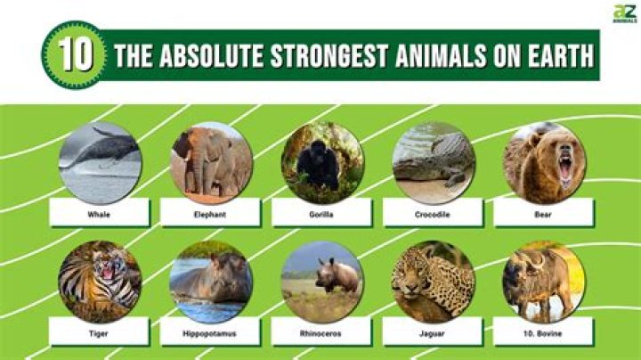The Most Powerful Animal On Earth: Uncovering The Strongest Creature