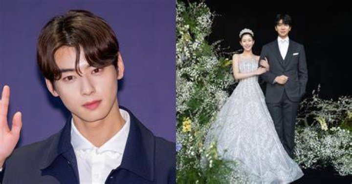 The Secret Fiance Of Cha Eun Woo: Unveiled