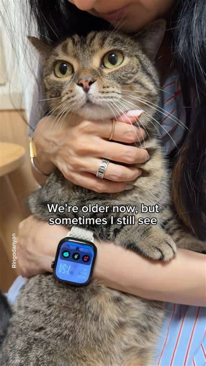 The Ultimate Cuddle Memes To Melt His Heart