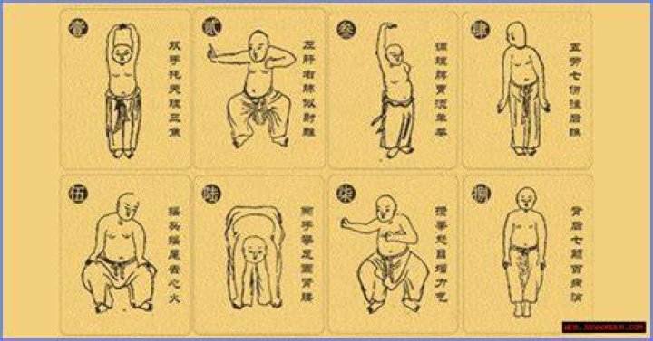 The Ultimate Guide To Adre Jin: Benefits, Uses, And Side Effects