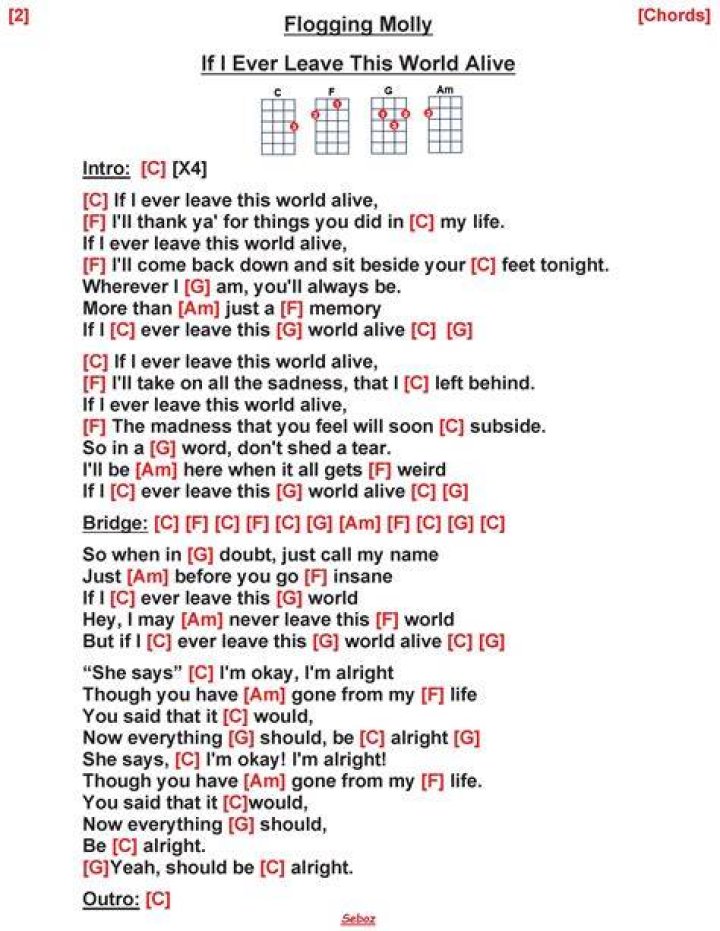 The Ultimate Guide To "If I Ever Leave This World Alive" Lyrics By Flogging Molly