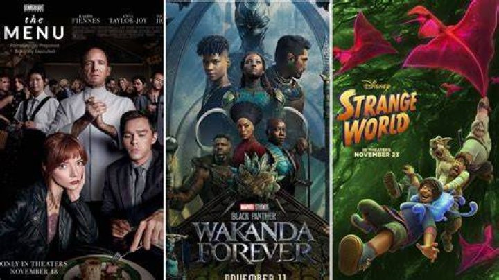 The Ultimate Guide To Mackenyu's Upcoming Movie Releases