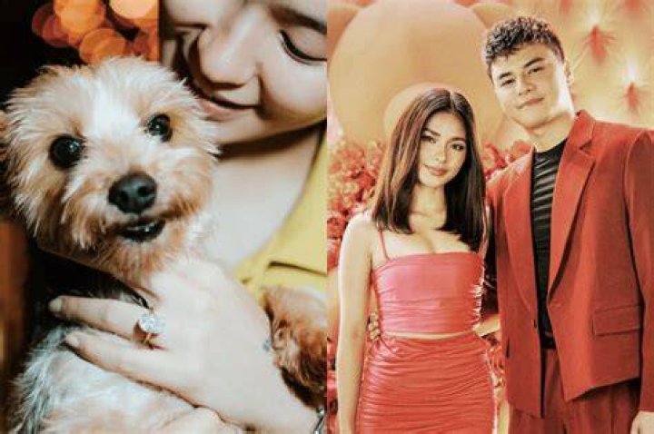 The Ultimate Guide To Ronnie Alonte's Wife: Everything You Need To Know