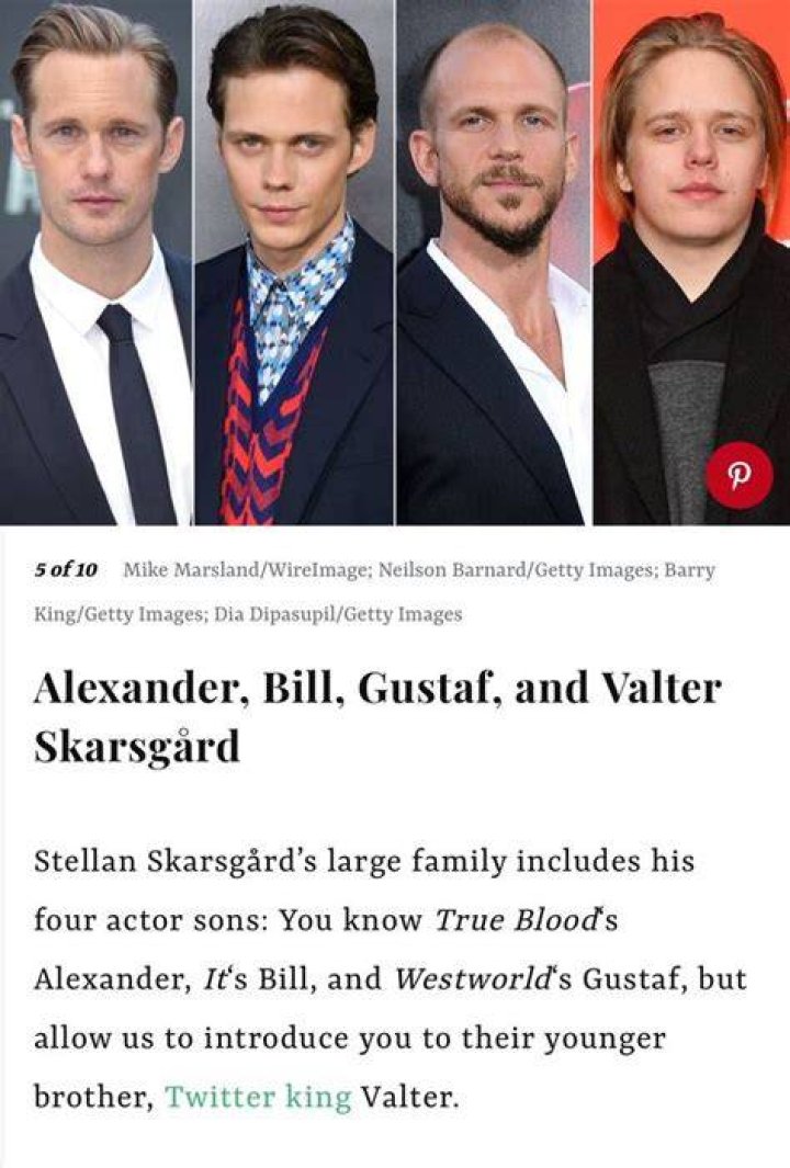 The Ultimate Guide To Valter Skarsgard