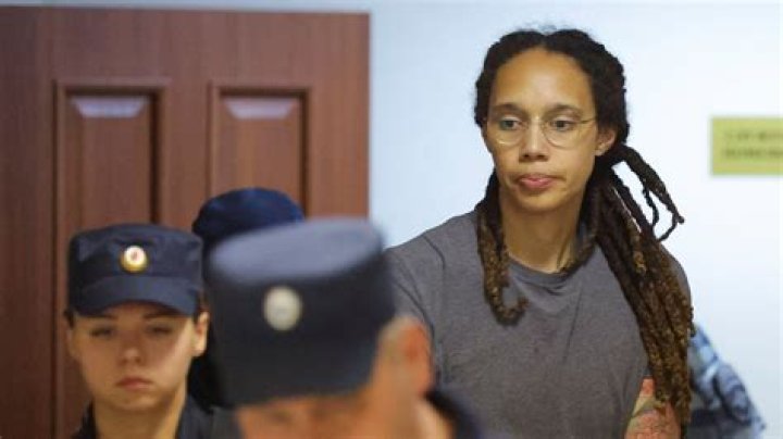 The Unknown Story Of Britney Griner's Brother: His Role In Her Sentencing