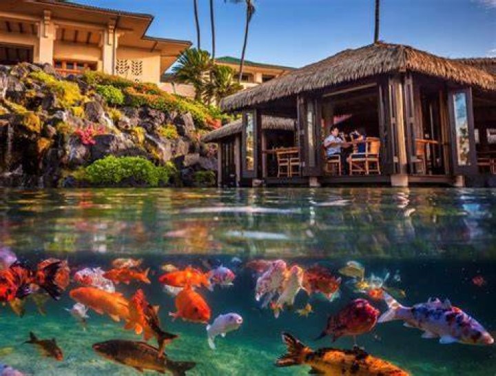 Tidepools Kauai Restaurants Review 10Best Experts and Tourist Reviews