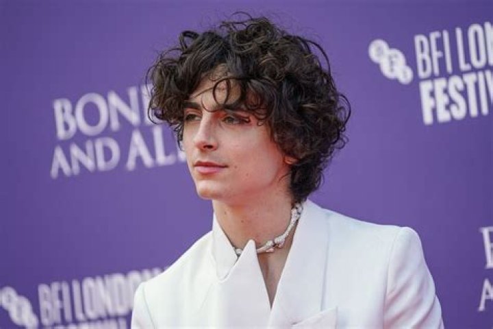 Timoth&eacute;e Chalamet Ethnicity Origin, Race & Religion
